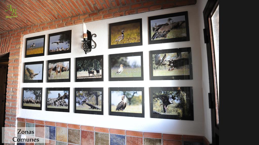 Rurales Monfraguee Appartement *